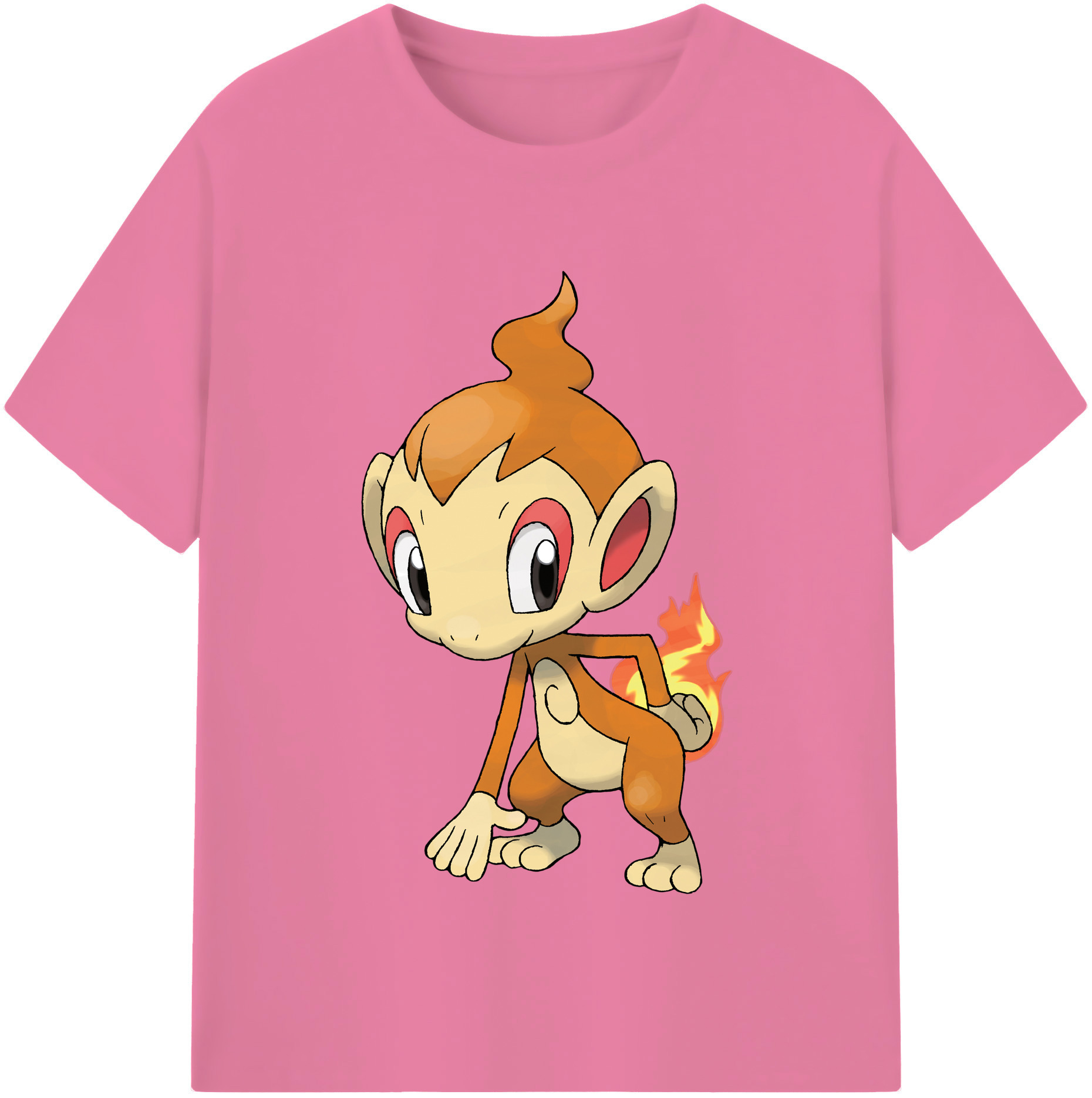（画像用） ポケットモンスター Pokémon 綿100％半袖Tシャツ（フロントプリント）